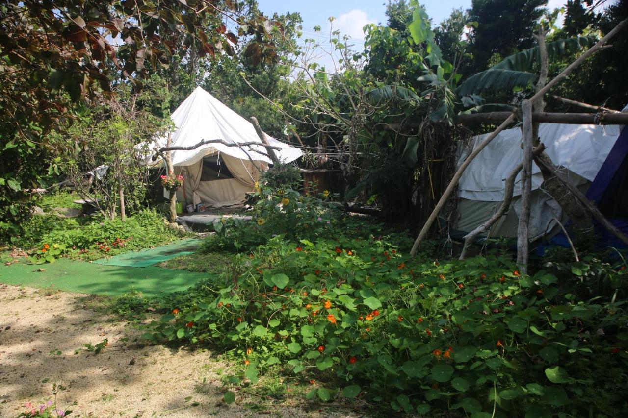 库库鲁露营地 Miyakojima  外观 照片